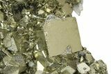 Gleaming Pyrite Crystal Cluster with Quartz Crystals - Peru #350805-3